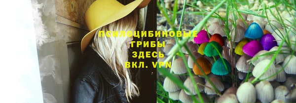 ECSTASY Баксан