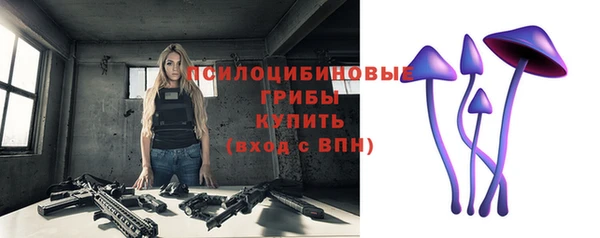 ECSTASY Баксан