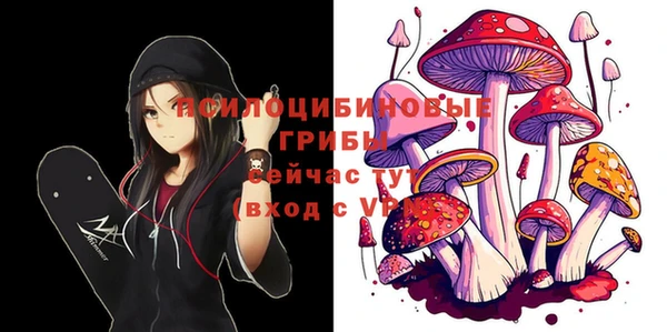 ECSTASY Баксан